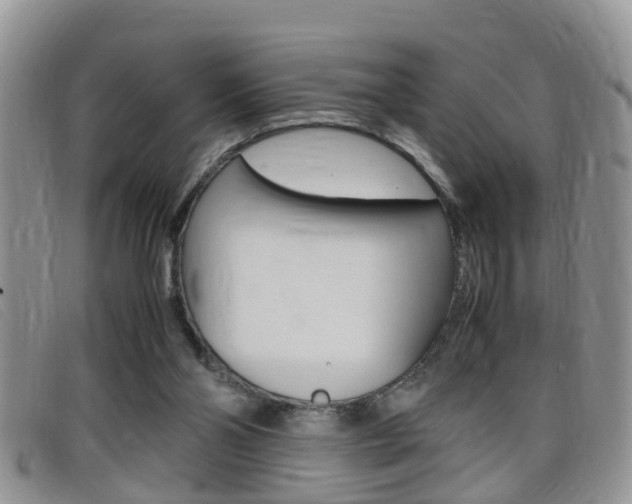 X0000099430110200805090735