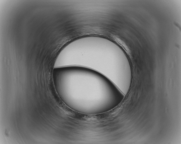 X0000099430113200805090735