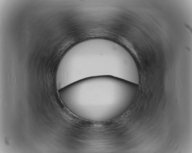 X0000099430114200805090735