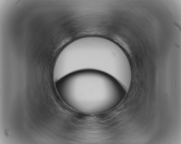 X0000099430115200805090735