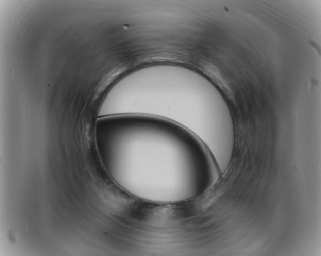 X0000099430116200805090735