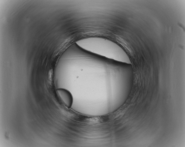 X0000099430118200805090735