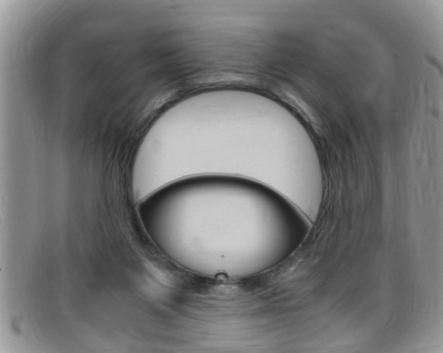 X0000099430119200805090735