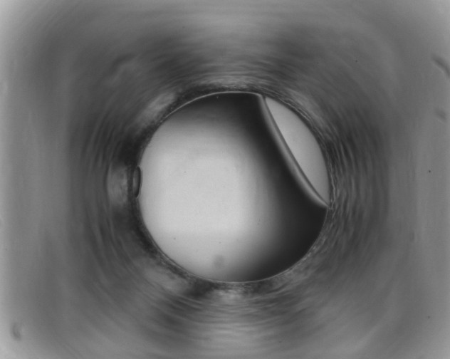 X0000099430120200805090735