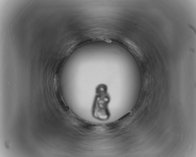 X0000099430121200805090735