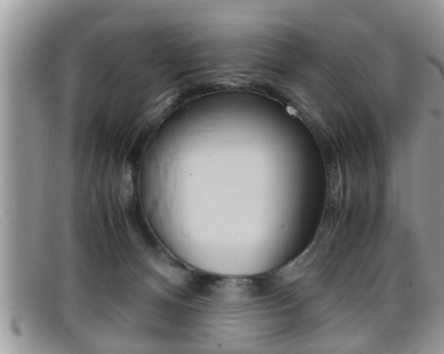 X0000099430128200805090735
