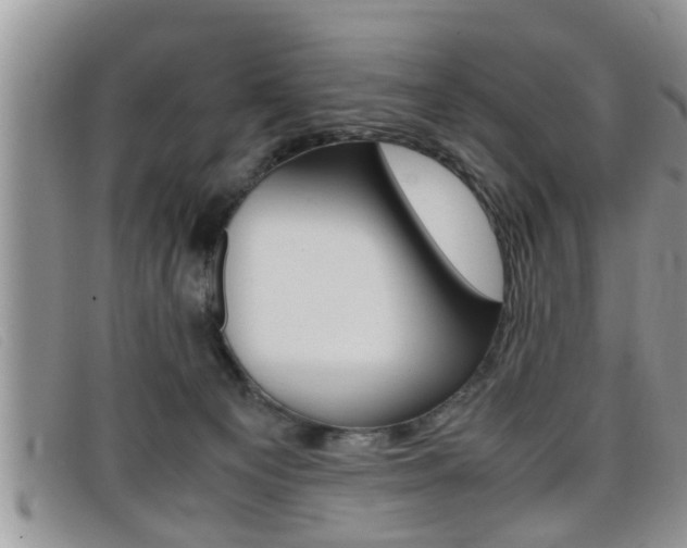 X0000099430129200805090735