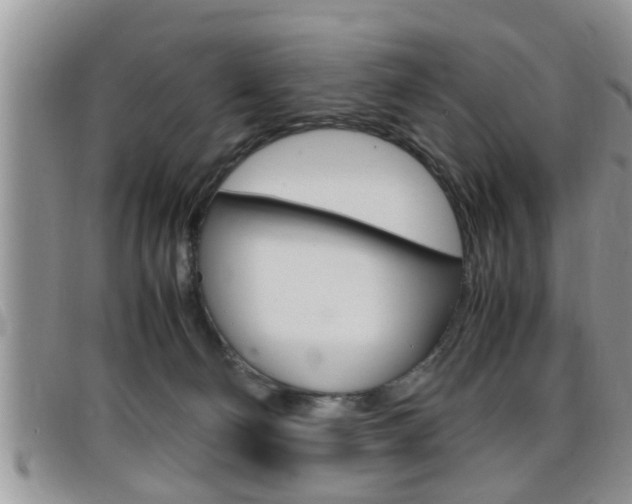 X0000099430130200805090735