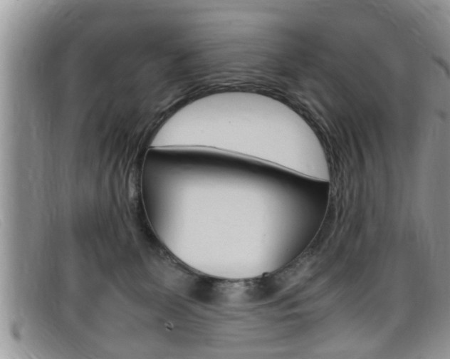 X0000099430131200805090735