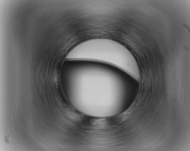 X0000099430132200805090735