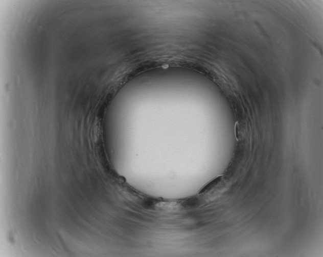 X0000099430133200805090735