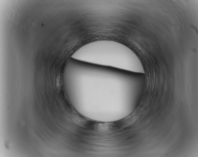 X0000099430134200805090735