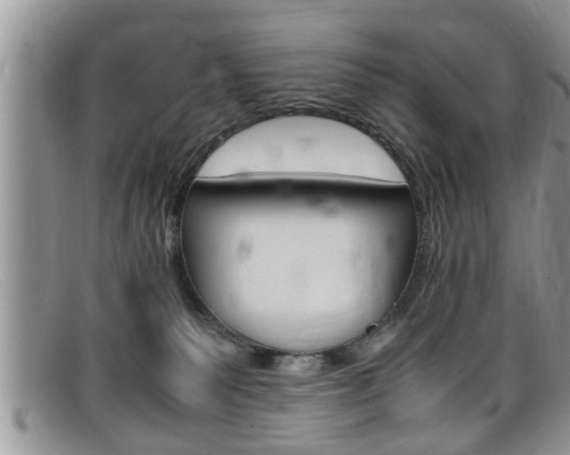 X0000099430135200805090735