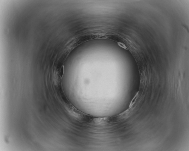 X0000099430136200805090735
