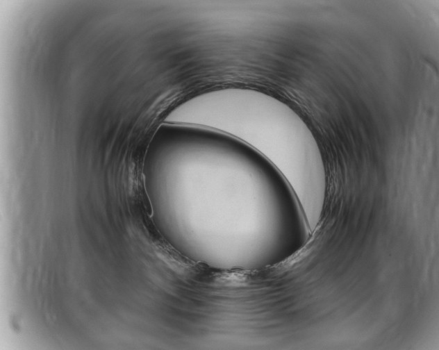 X0000099430140200805090734