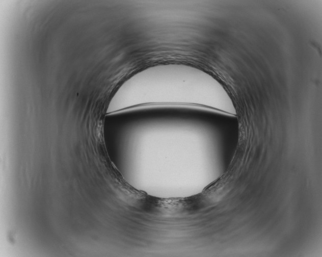 X0000099430141200805090734