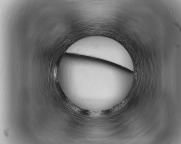 X0000099430143200805090734