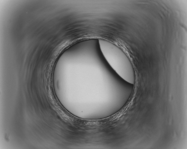 X0000099430145200805090734