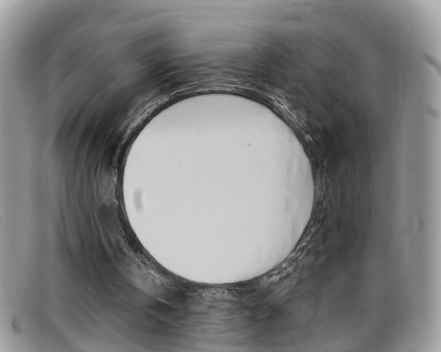 X0000099430146200805090734