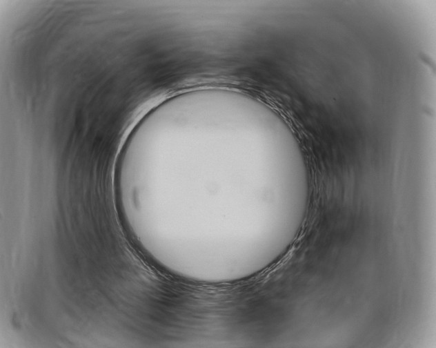 X0000099430148200805090734