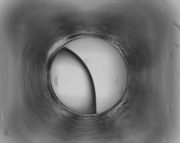 X0000099430149200805090734