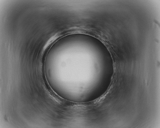 X0000099430150200805090734