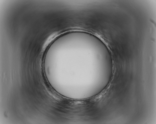 X0000099430151200805090734