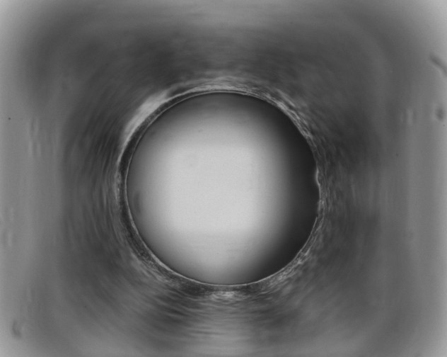 X0000099430152200805090734