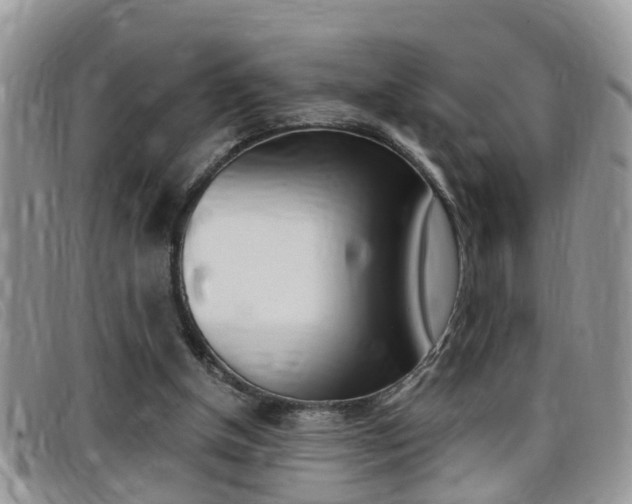 X0000099430154200805090734