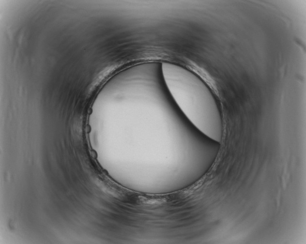 X0000099430155200805090734