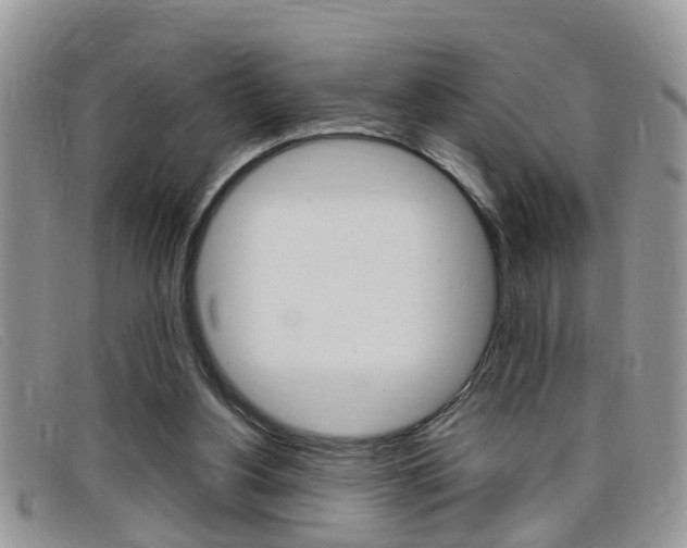 X0000099430156200805090734