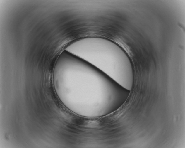 X0000099430157200805090734