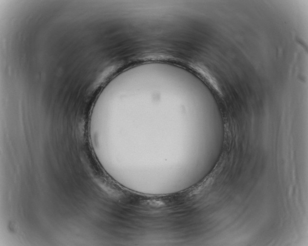 X0000099430159200805090734