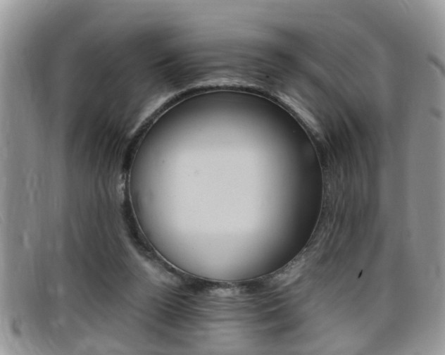 X0000099430160200805090734