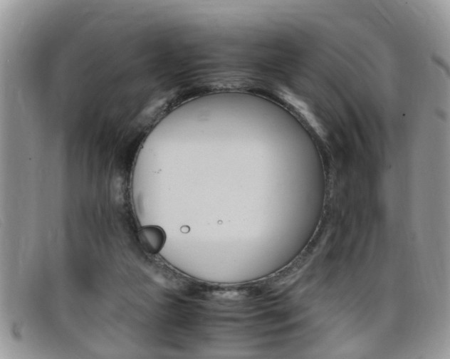X0000099430161200805090734