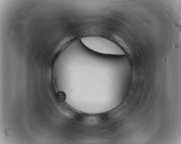 X0000099430163200805090734