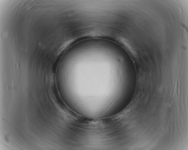 X0000099430164200805090734