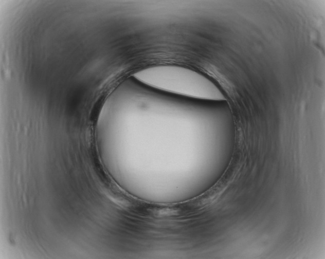X0000099430165200805090734