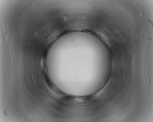 X0000099430166200805090734