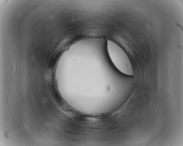 X0000099430167200805090734