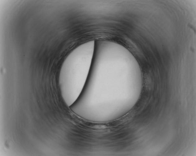 X0000099430169200805090734