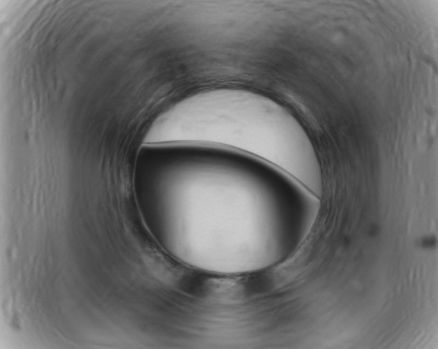 X0000099430170200805090734