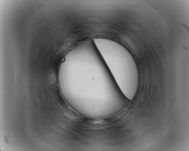 X0000099430173200805090734