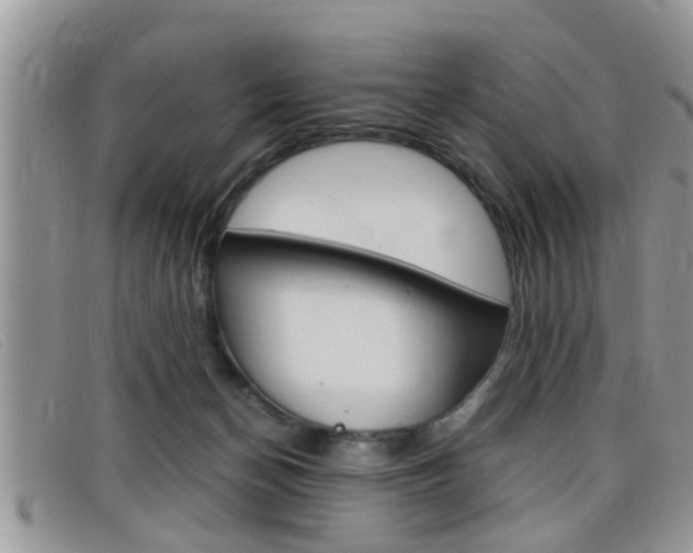X0000099430174200805090734