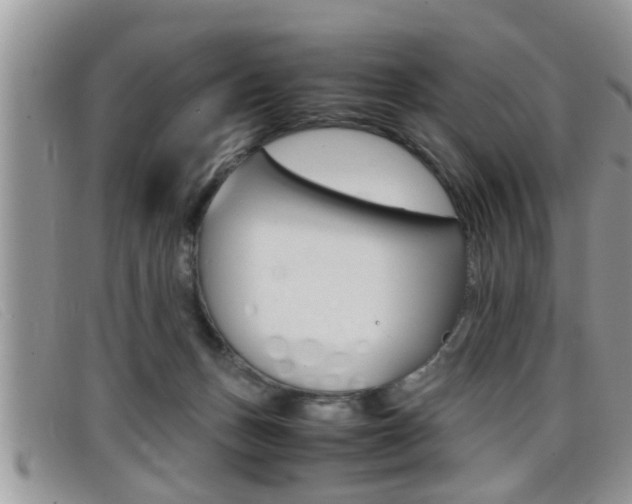 X0000099430175200805090734