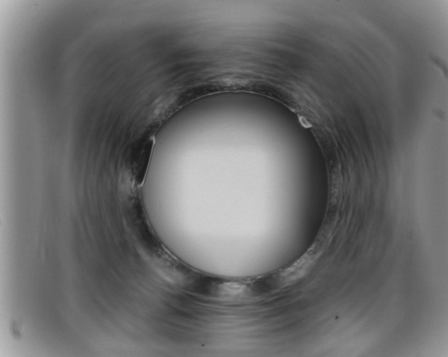 X0000099430176200805090734
