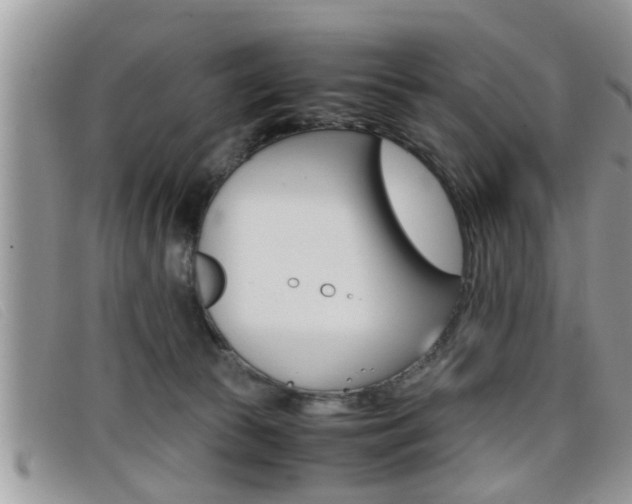 X0000099430177200805090734