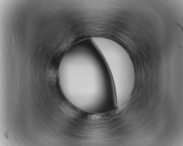X0000099430180200805090734