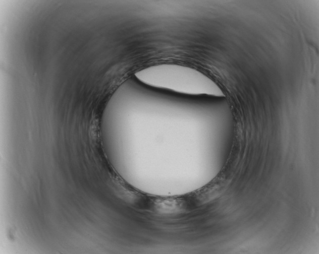 X0000099430181200805090734