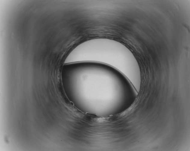 X0000099430184200805090734